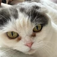 あゆだよ