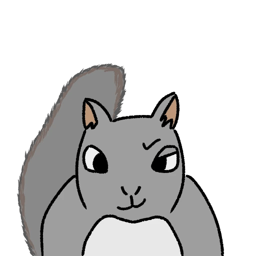 MAGIC SQUIRREL　（マジック・スクウォール）