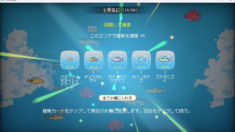 魚だらけの日々