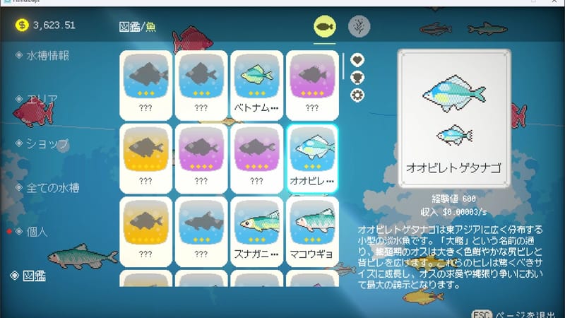 魚だらけの日々